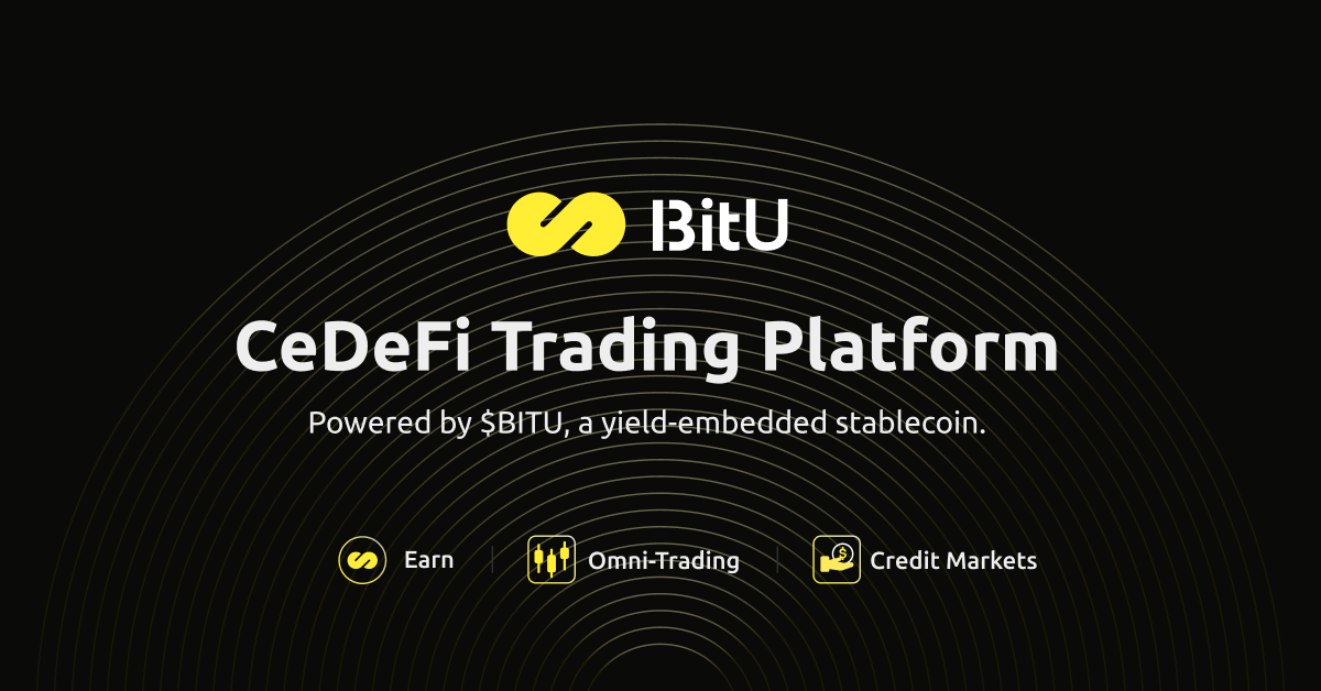 BitU Protocol cover